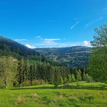 Mansion In With Pool And Garden