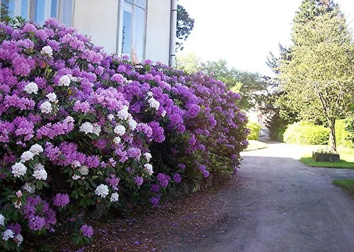 Mansion In With Pool And Garden Vecoux