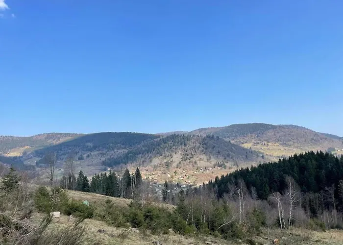 Mansion In With Pool And Garden Prázdninový dům