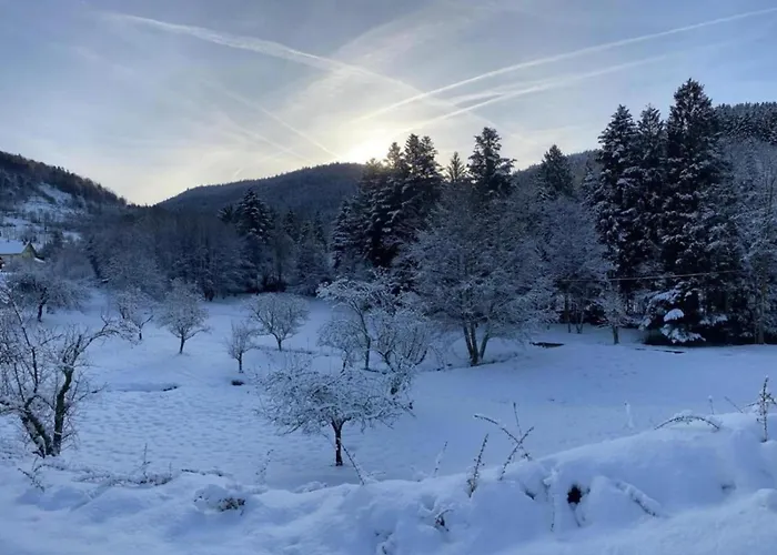Prázdninový dům Mansion In With Pool And Garden Vecoux